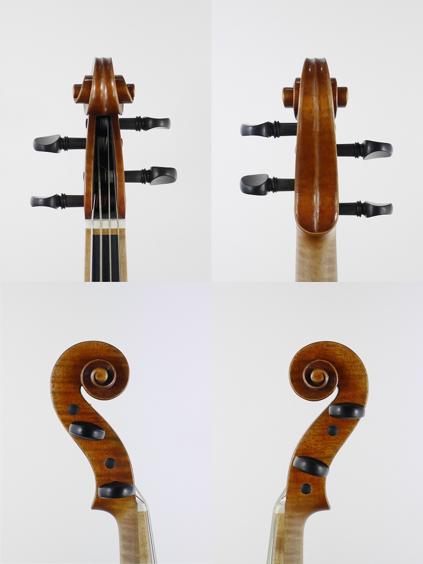 violin scroll